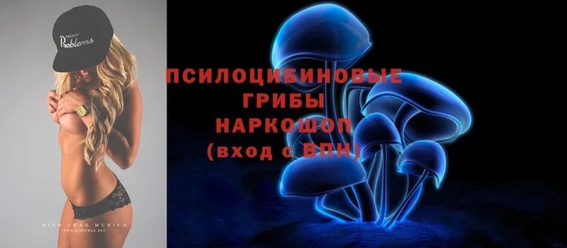 Псилоцибиновые грибы Cubensis  сайты даркнета формула  Макушино 