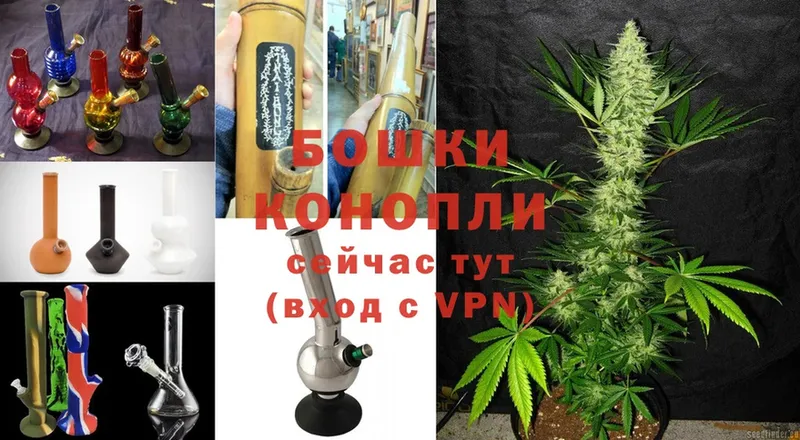 Бошки Шишки VHQ  купить   Макушино 